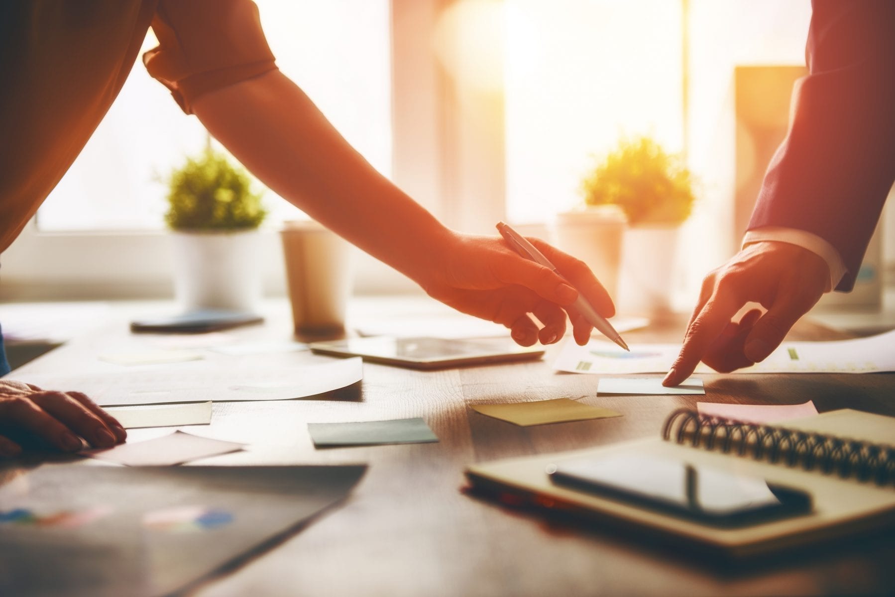 Retail Survival Tips Australia